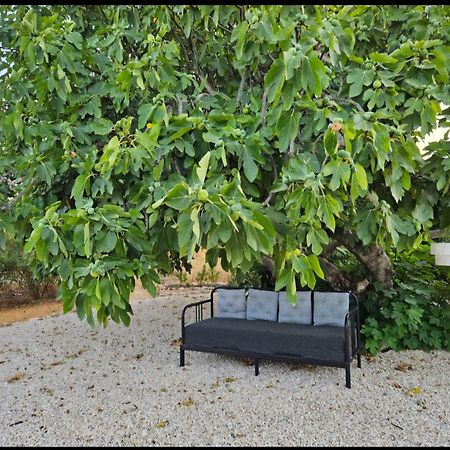 ホテル Casa Aventura ボリケイメ エクステリア 写真