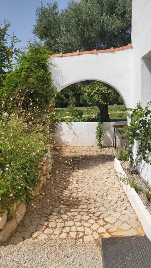 ホテル Casa Aventura ボリケイメ エクステリア 写真