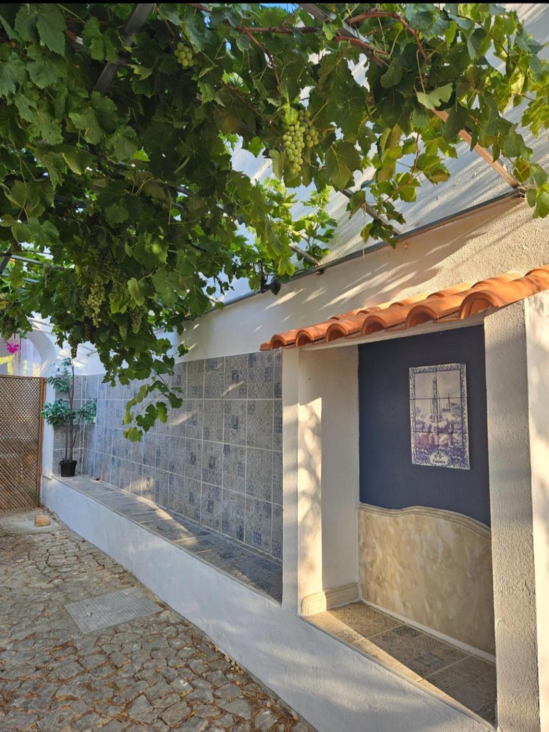 ホテル Casa Aventura ボリケイメ エクステリア 写真