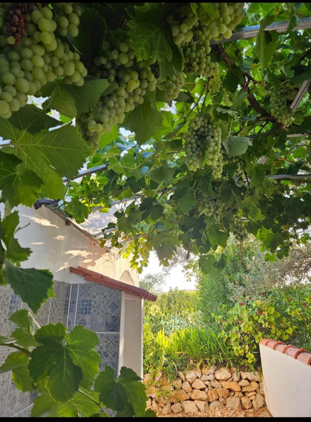 ホテル Casa Aventura ボリケイメ エクステリア 写真