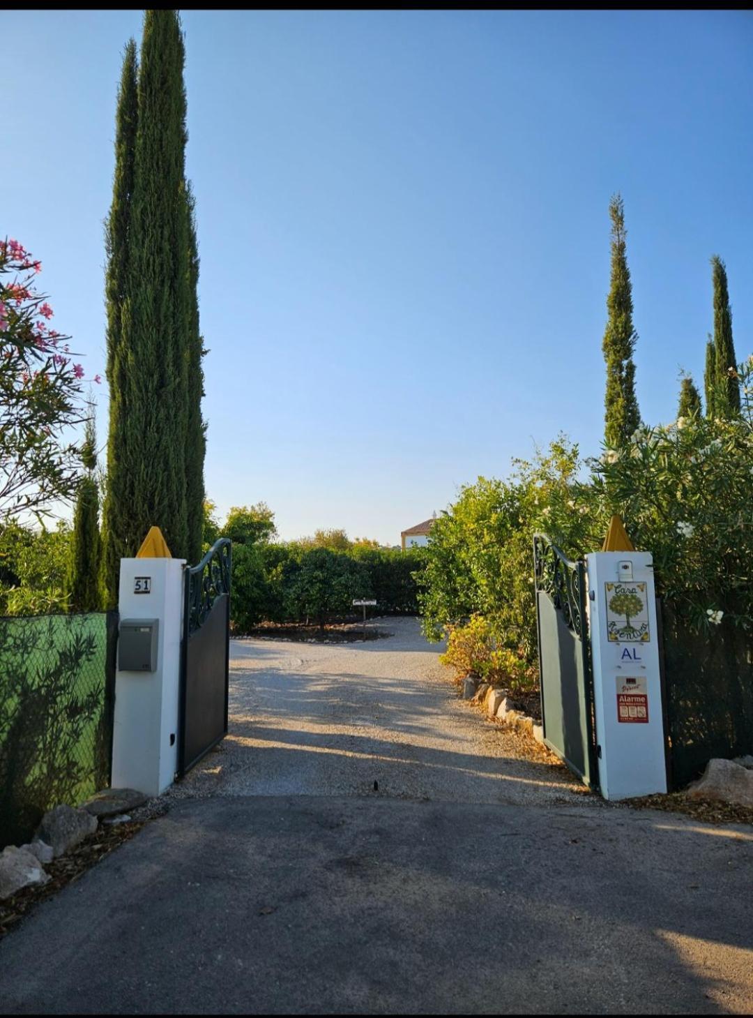 ホテル Casa Aventura ボリケイメ エクステリア 写真